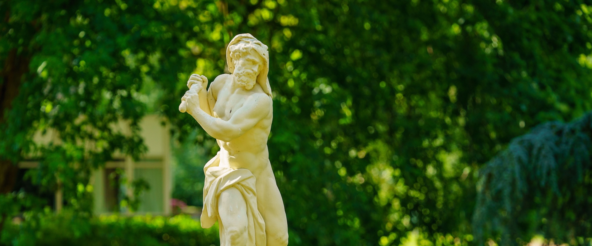 Licht beeld voor donkergroen blad